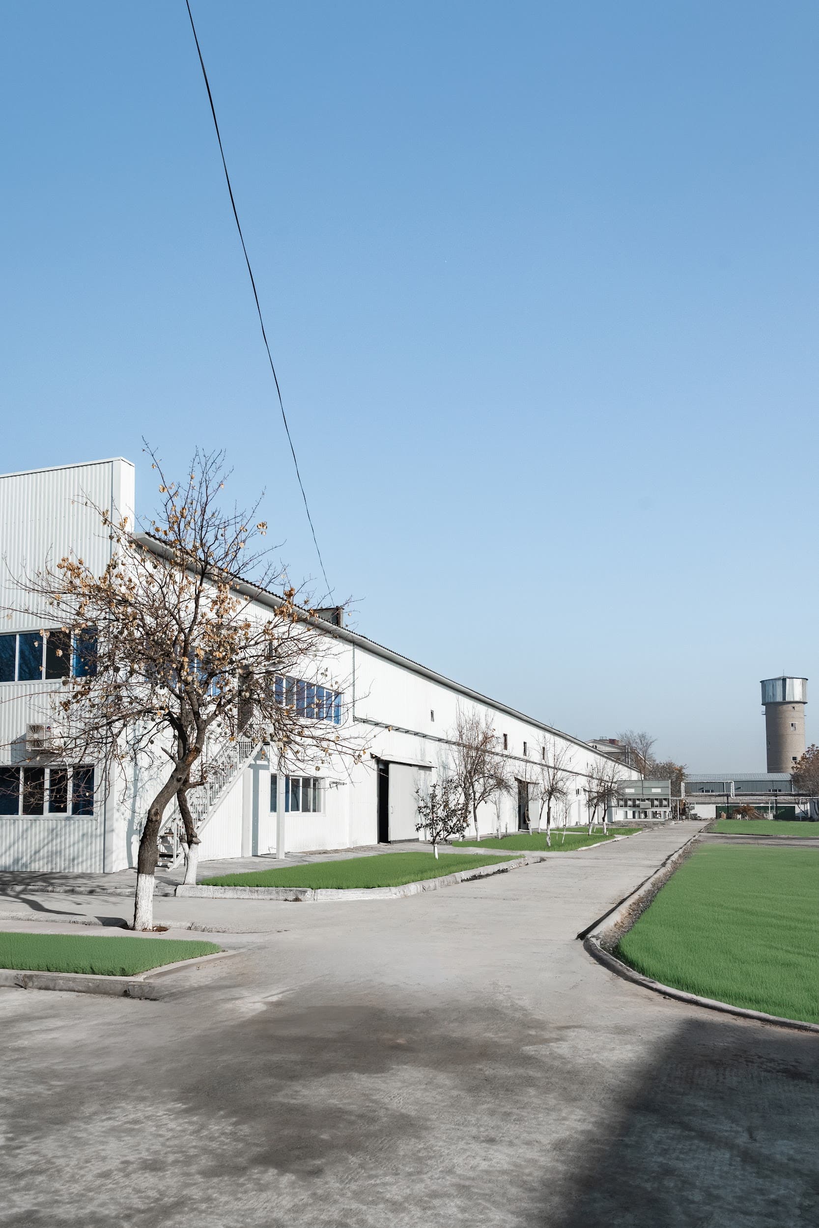 Завод NEO FRUITS